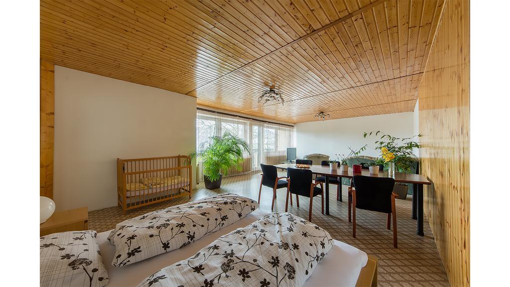 Apartman Vrane Vrané nad Vltavou Zewnętrze zdjęcie